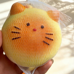 Cat Pancake Slow-Rise ruirui Squishy toy