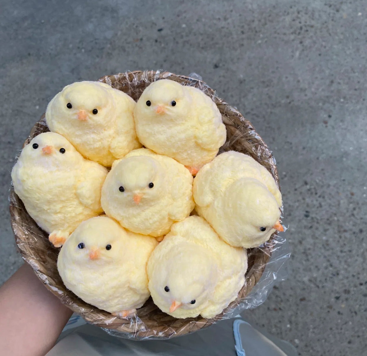 Flocked Chicken ✨tuition squishy toy