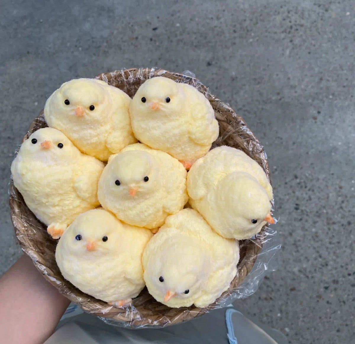 Flocked Chicken ✨tuition squishy toy